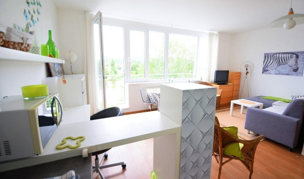 Pronájem bytu 1+kk 40 m², Beroun – náhled fotky 6