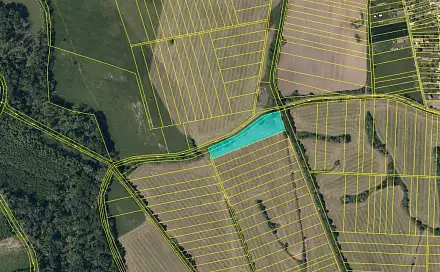 Dražba louky 11 841 m², Záříčí