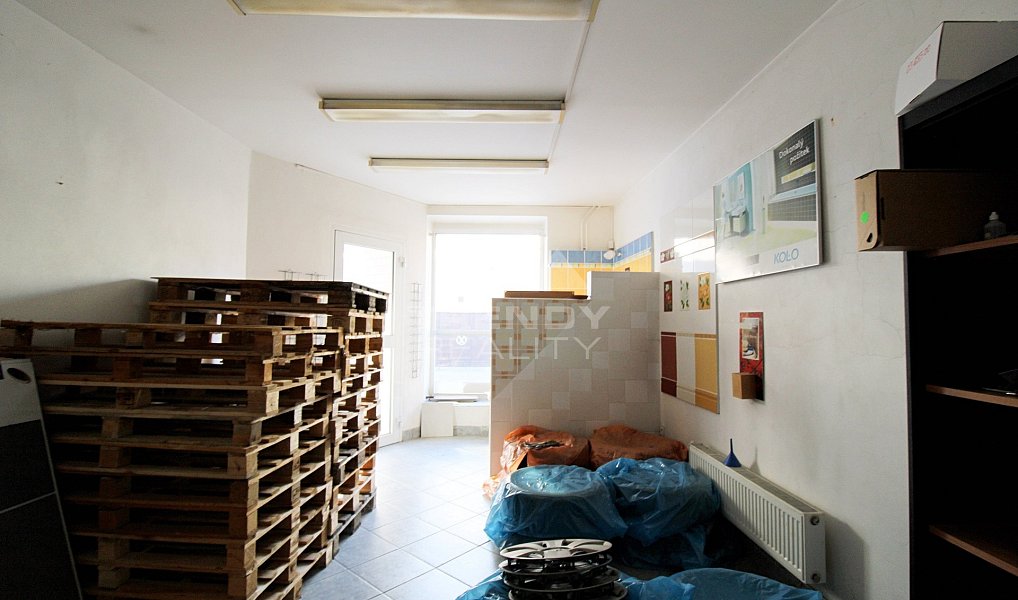 Prodej obchodních prostor 450 m², Plzeň – náhled fotky 7