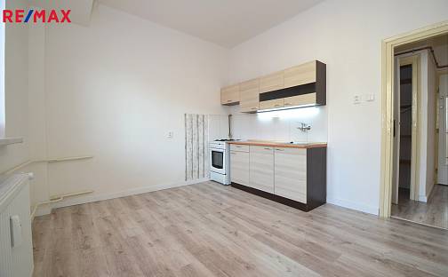 Pronájem bytu 1+1 44 m², Masarykova třída, Olomouc - Hodolany