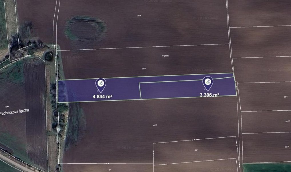 Prodej pole 8 150 m², Černíky – fotka 1 z 3