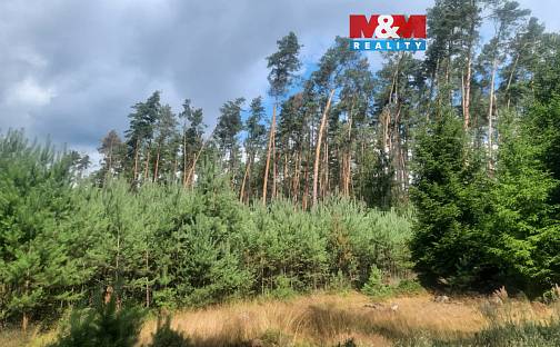 Prodej lesa 108 447 m², Březovice, okres Mladá Boleslav