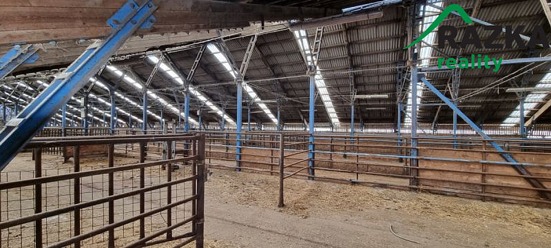 Prodej zemědělského objektu 10 000 m² – fotografie 5