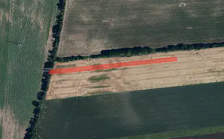 Prodej pole 6 063 m², Prušánky, okres Hodonín