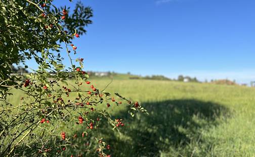 Prodej stavebního pozemku 1 541 m², Příbor, okres Nový Jičín
