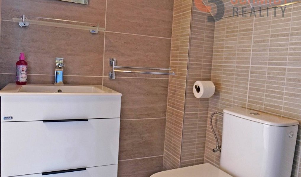 Pronájem ubytovacího objektu 139 m², Velké Bílovice – náhled fotky 7