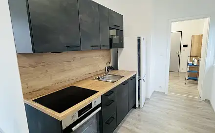 Pronájem bytu 1+kk 60 m², Zámecká, Lovosice, okres Litoměřice
