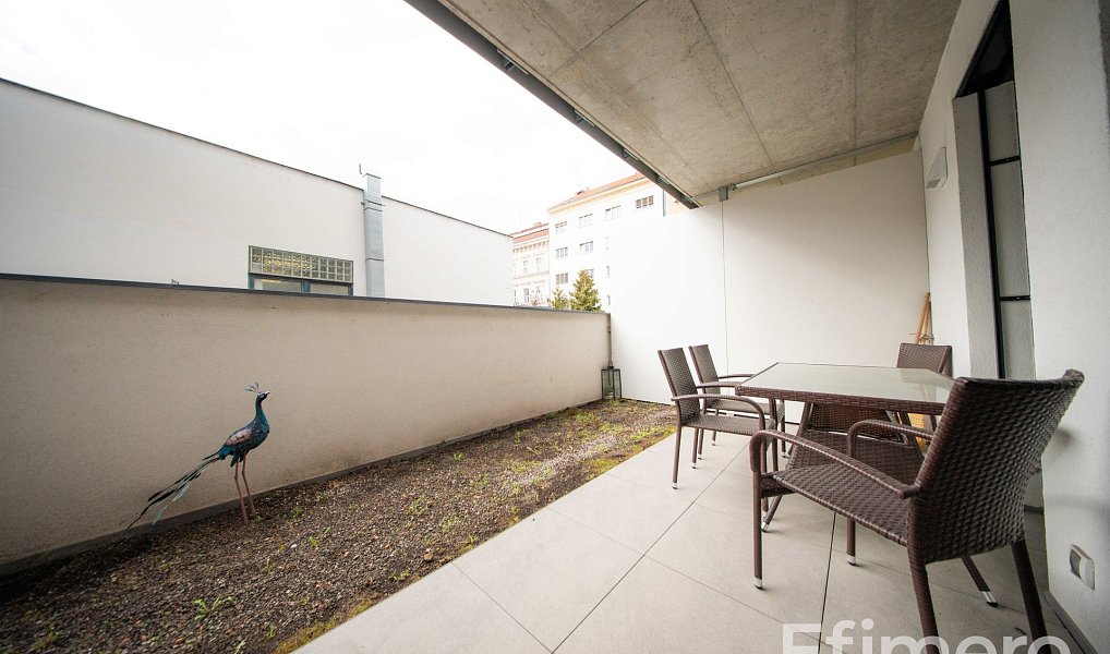 Pronájem bytu 1+kk 35 m², Brno – náhled fotky 9