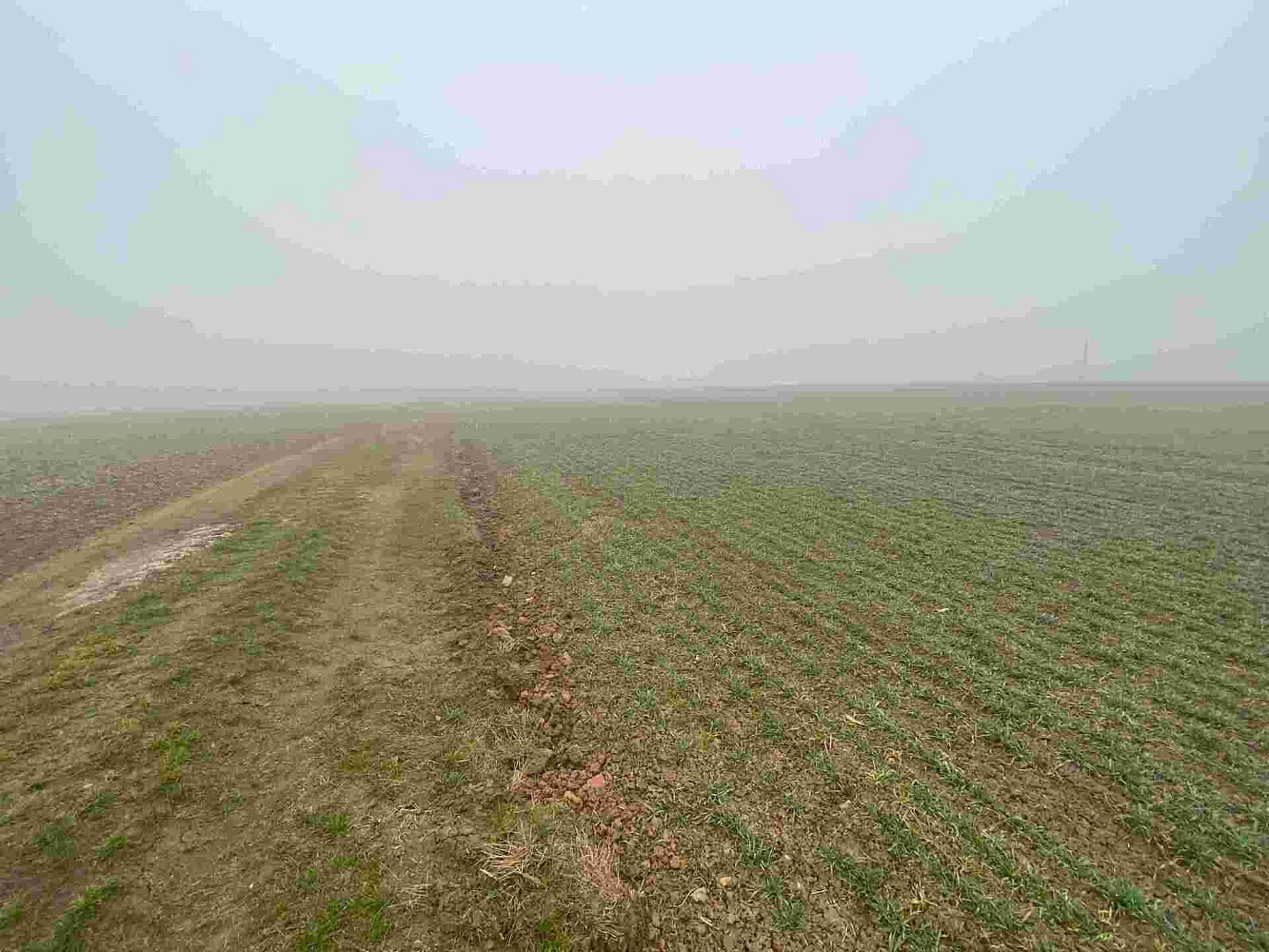 Fotka 7 z 14