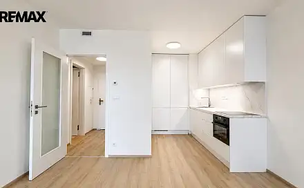 Pronájem bytu 1+kk 45 m²