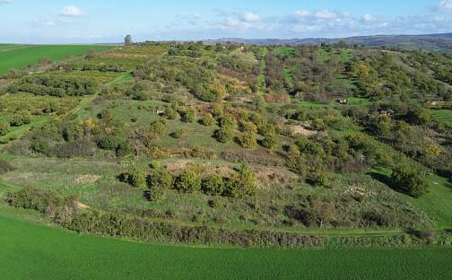 Prodej zahrady 6 601 m², Hrušovany u Brna, okres Brno-venkov