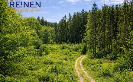 Prodej lesa 3 412 m², Mladoňovice, okres Třebíč