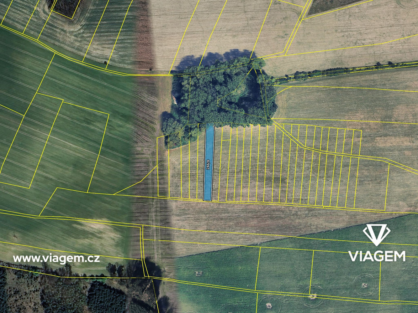 Prodej pole 494 m² – fotografie 4