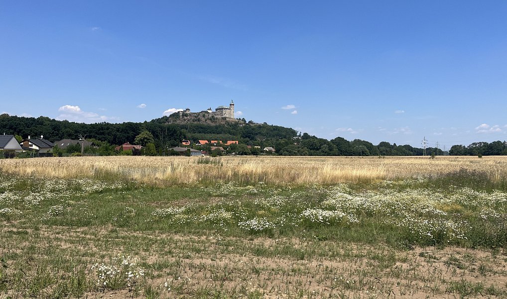 Prodej stavebního pozemku 1 152 m², Ráby – náhled fotky 15