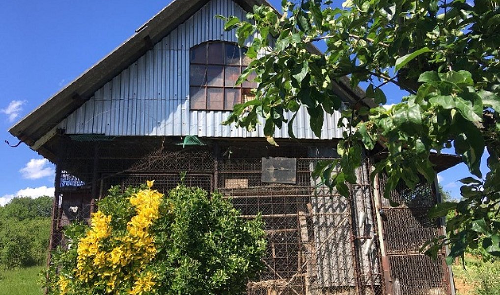 Prodej chaty/chalupy 38 m² s pozemkem 1 184 m², Staré Město – náhled fotky 5