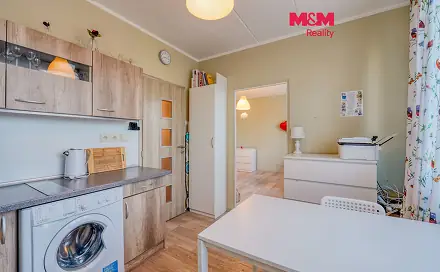 Pronájem bytu 1+1 32 m², Elišky Krásnohorské, Plzeň - Severní Předměstí