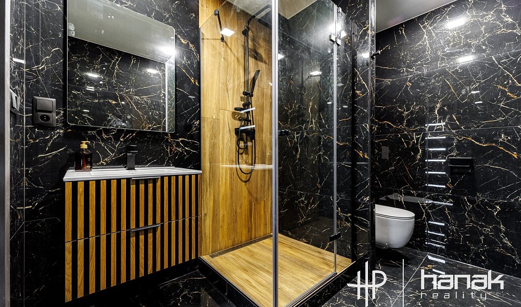 Pronájem bytu 1+1 44 m², Olomouc – náhled fotky 3