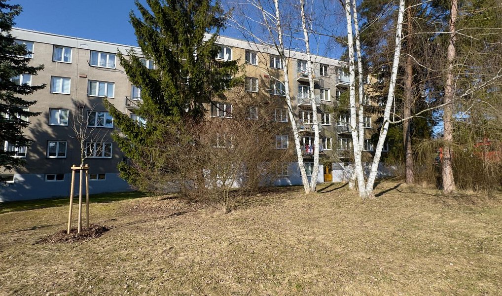 Pronájem bytu 2+1 52 m², Česká Lípa – fotka 1 z 19
