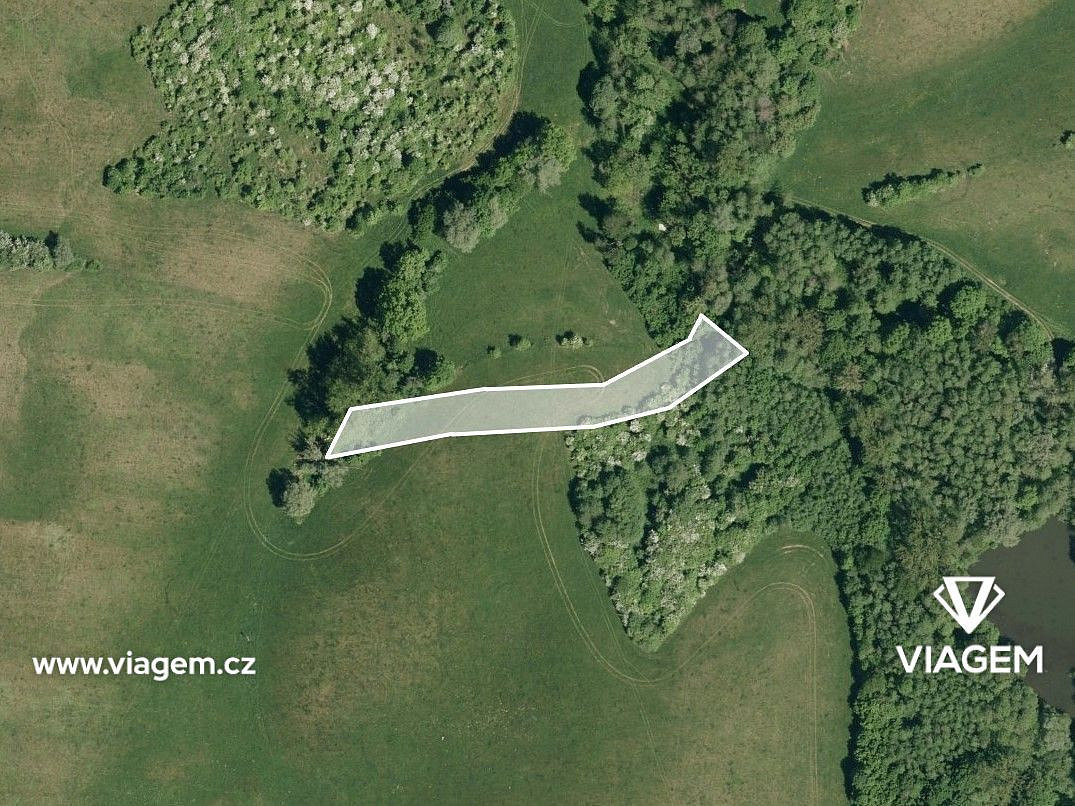 Prodej pole 1 613 m² – fotografie 2