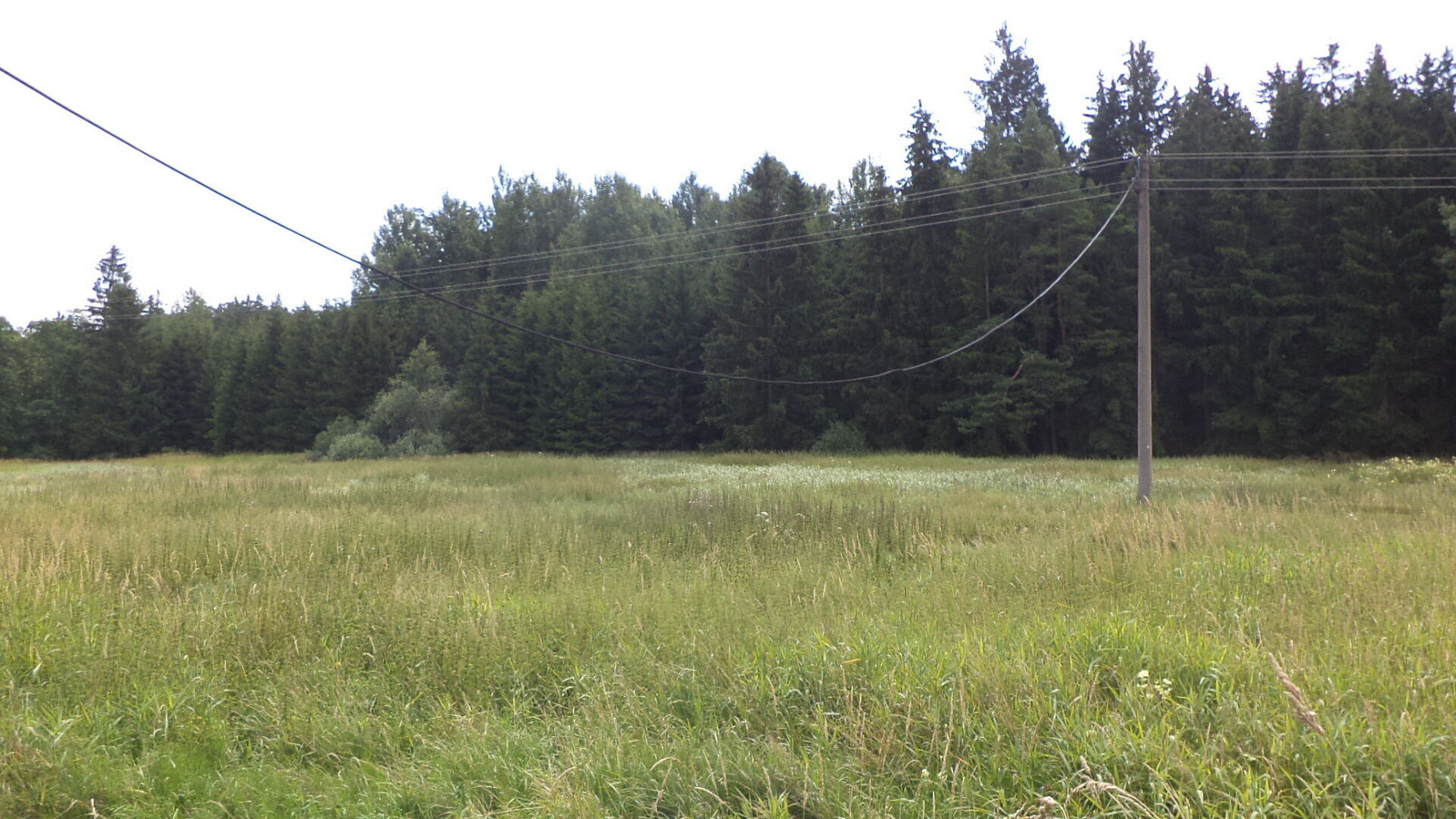 Prodej pole 13 137 m² – fotografie 2