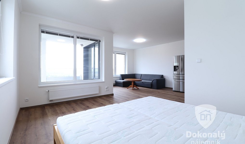Pronájem bytu 1+kk 53 m², Praha – náhled fotky 2