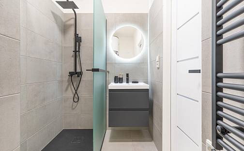 Prodej bytu 2+1 55 m², Vlašim - Domašín, okres Benešov