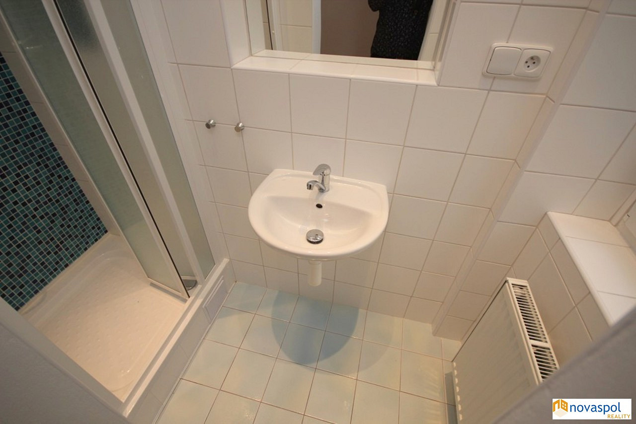 Pronájem bytu 1+kk 19 m² — photo 4