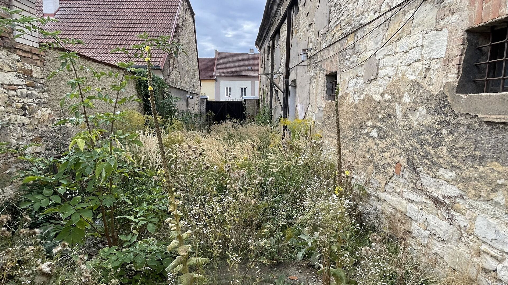 Fotka 25 z 29