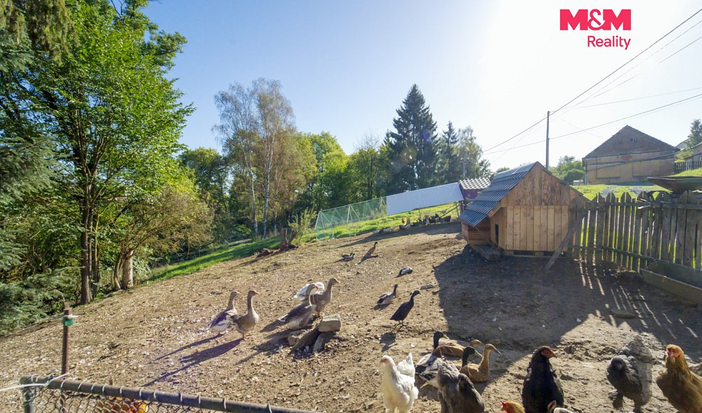 Prodej domu 70 m² s pozemkem 2 389 m², Čečovice – náhled fotky 21