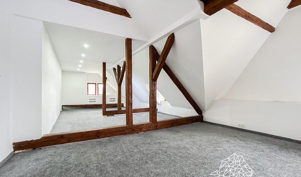 Prodej domu 900 m² s pozemkem 2 018 m², Krnov – náhled fotky 21