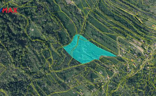 Prodej pozemku 39 141 m², Malá Veleň, okres Děčín