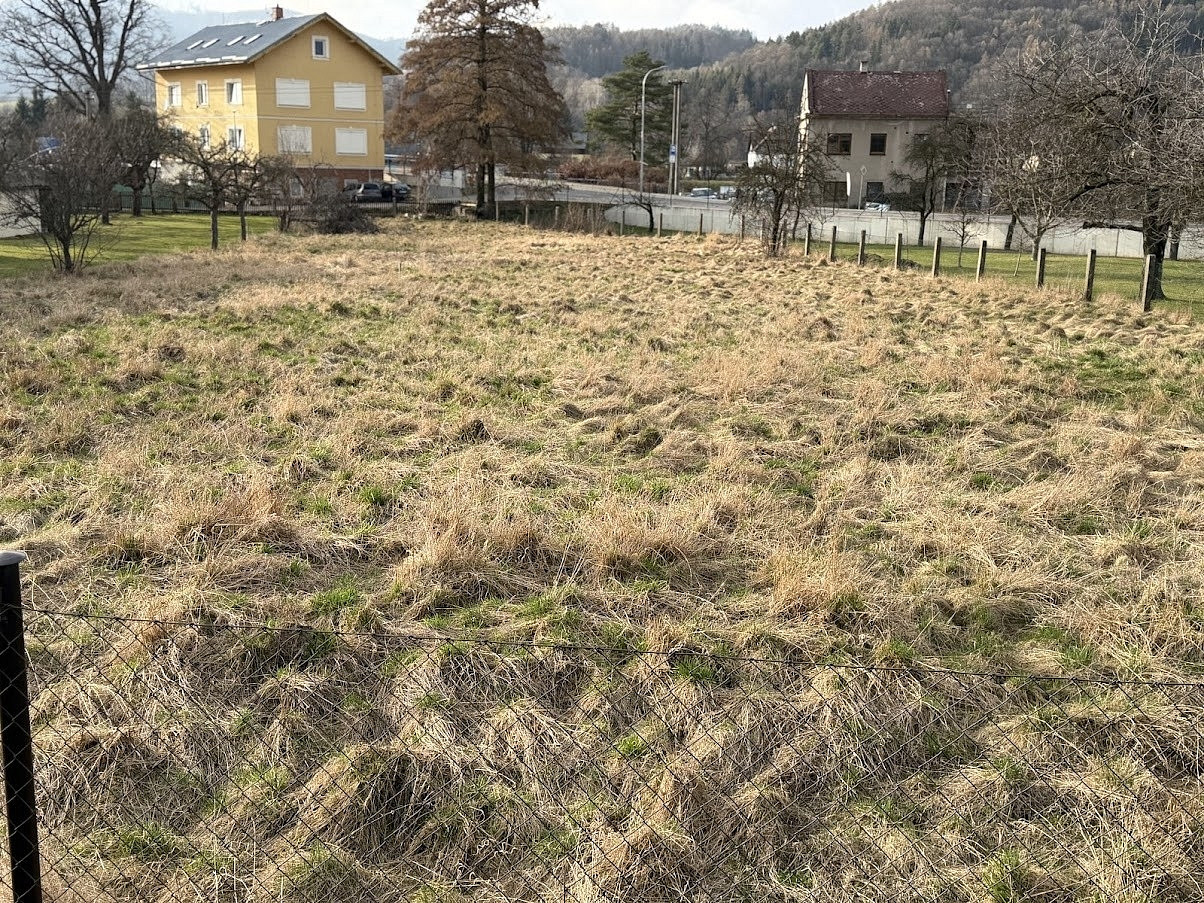 Prodej stavebního pozemku 1 928 m² – fotografie 5