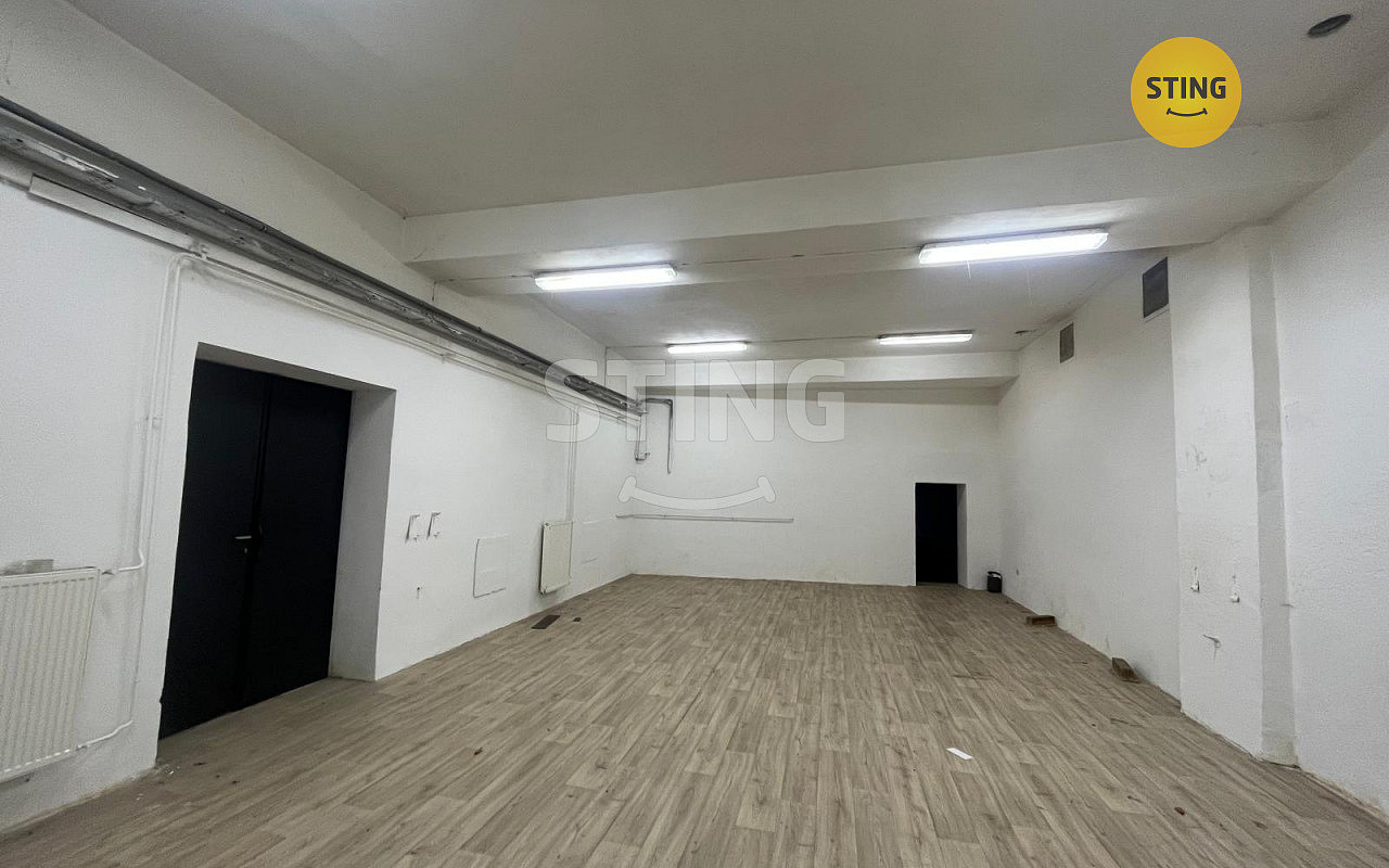 Pronájem skladovacích prostor 80 m², Opava