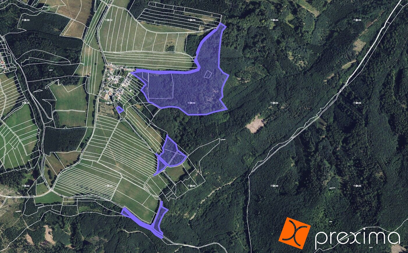 Prodej lesa 932 m²