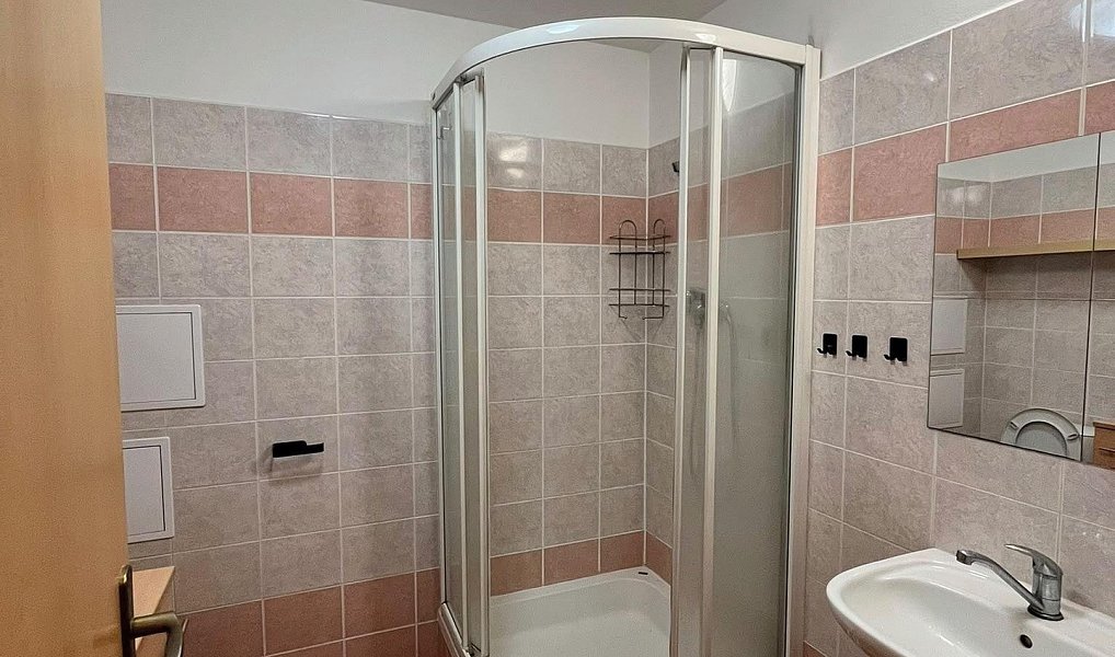 Pronájem bytu 1+kk 40 m², České Budějovice – náhled fotky 9