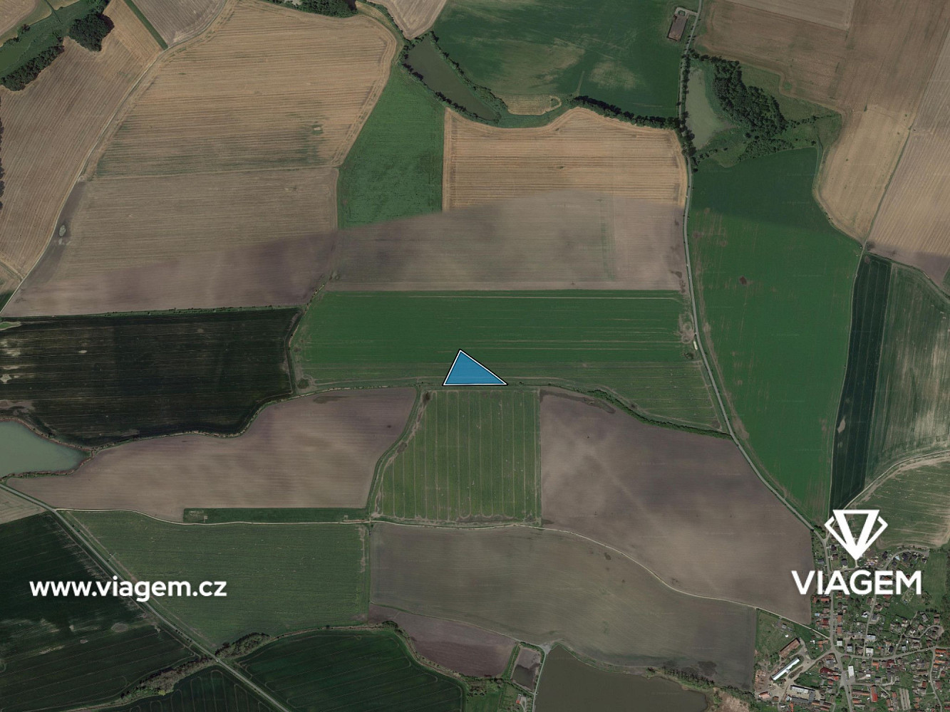 Prodej pole 1 606 m² – fotografie 3