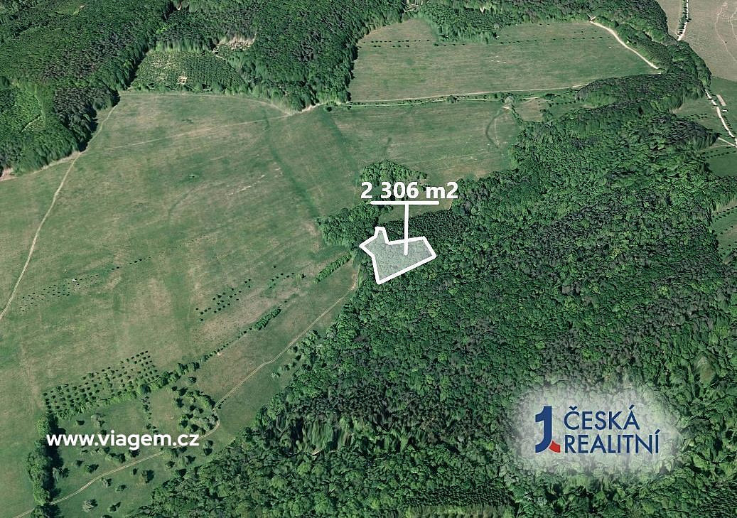Prodej lesa 1 729 m² – fotografie 2