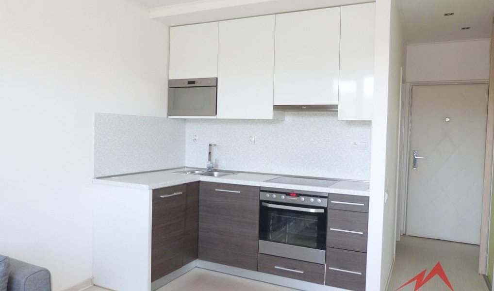 Pronájem bytu 1+1 36 m², Jílové – fotka 1 z 10