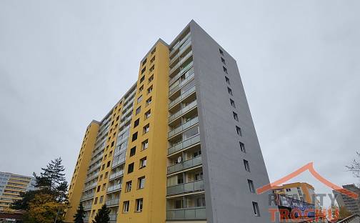 Prodej bytu 1+kk 30 m², Kejzlarova, Hradec Králové - Nový Hradec Králové