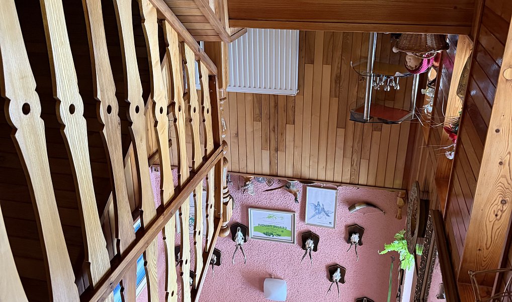 Prodej domu 250 m² s pozemkem 1 245 m², Spálov – náhled fotky 17