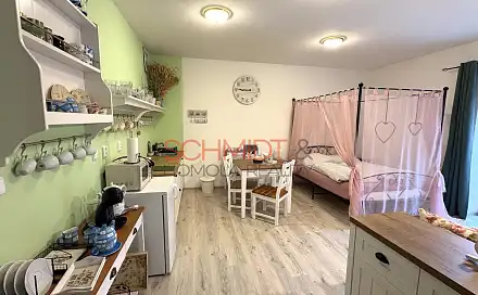 Pronájem bytu 1+kk 38 m²