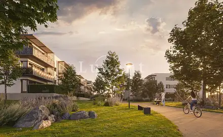 Pronájem kanceláře 46 m²
