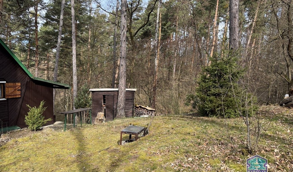 Prodej chaty/chalupy 40 m² s pozemkem 26 m², Čerňovice – náhled fotky 20