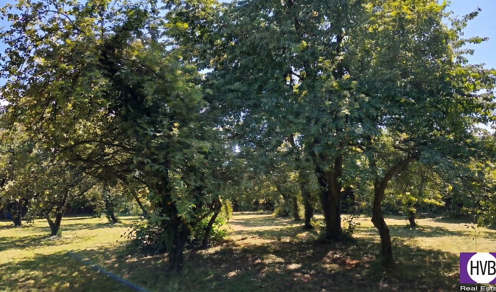 Prodej stavebního pozemku 1 100 m², Suchdol – náhled fotky 9