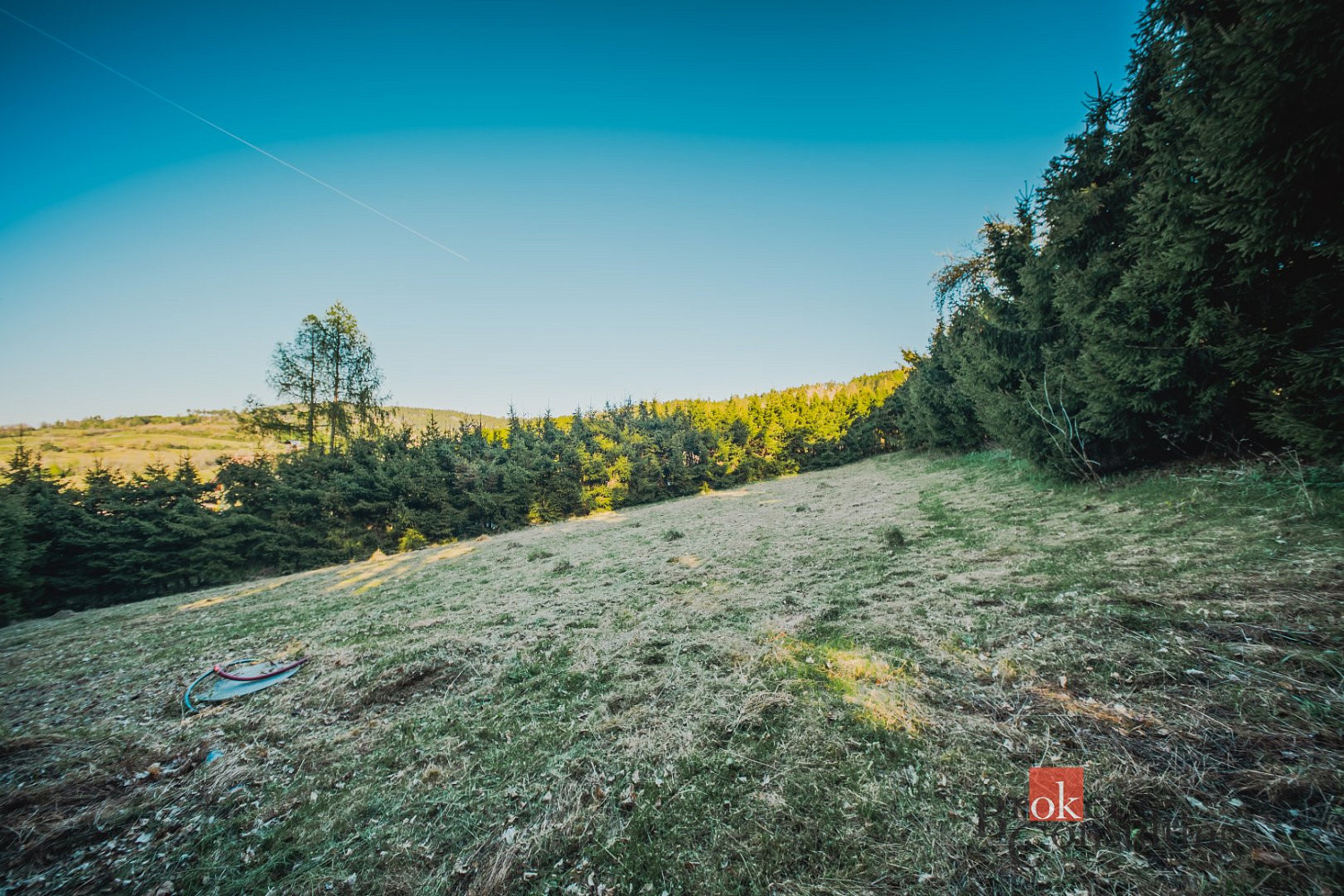 Fotka 20 z 29