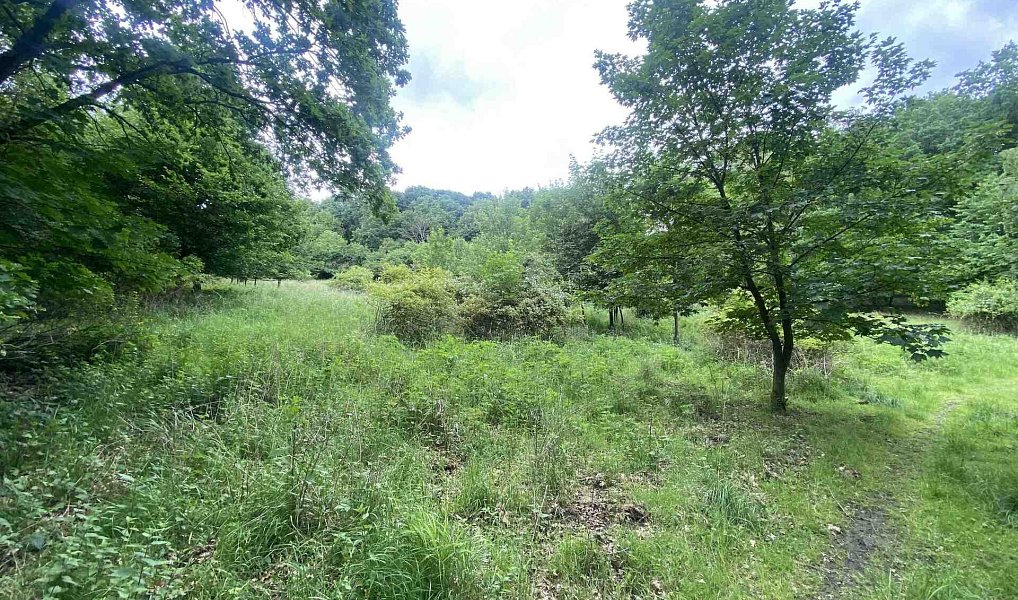 Prodej pole 12 772 m², Třebívlice – náhled fotky 9