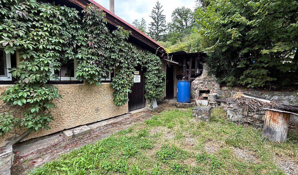 Prodej chaty/chalupy 50 m² s pozemkem 670 m², Nespeky – náhled fotky 13