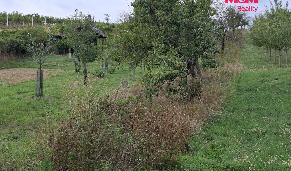 Prodej pole 610 m², Vlkoš – náhled fotky 4
