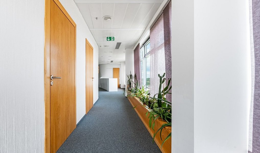 Pronájem kanceláře 280 m², Praha – náhled fotky 7