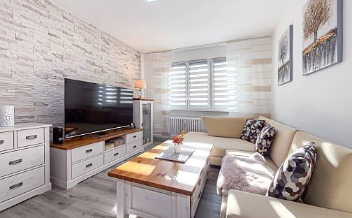 Prodej bytu 2+1 54 m², Vrchlického, Chomutov